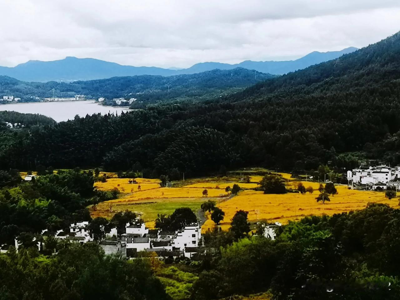 宁错黄山美景，不负徽州美食，对于我这个吃货来说，景不景的无所谓，即使今天登黄山的