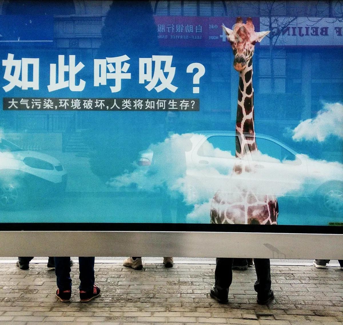 英国科学家说：呼吸，对环境有害

在我们对环保的理解中，肉类消费、不可持续的运输