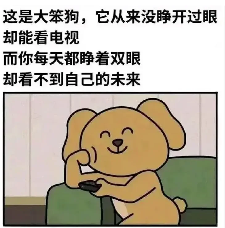 这是大笨狗，它从来没睁开过眼