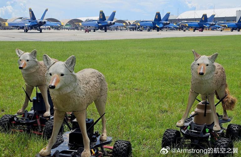 美国海军蓝天使飞行表演队使用的郊狼无人驱鸟车 ​​​