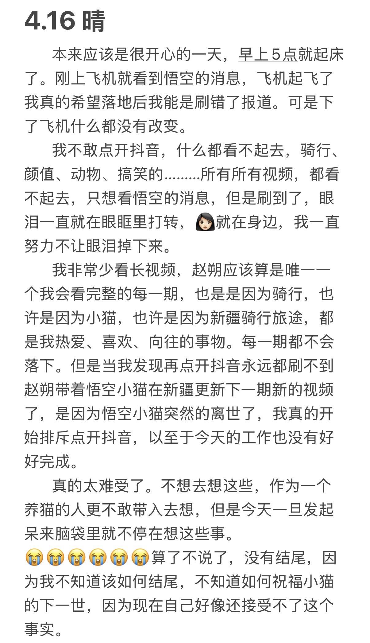 晚安 小猫。