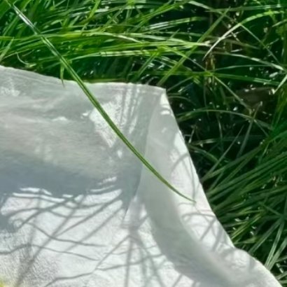 这个世界没有不劳而获的事，想要得到回报，就需要认真付出。生活的馈赠，就藏在你日复