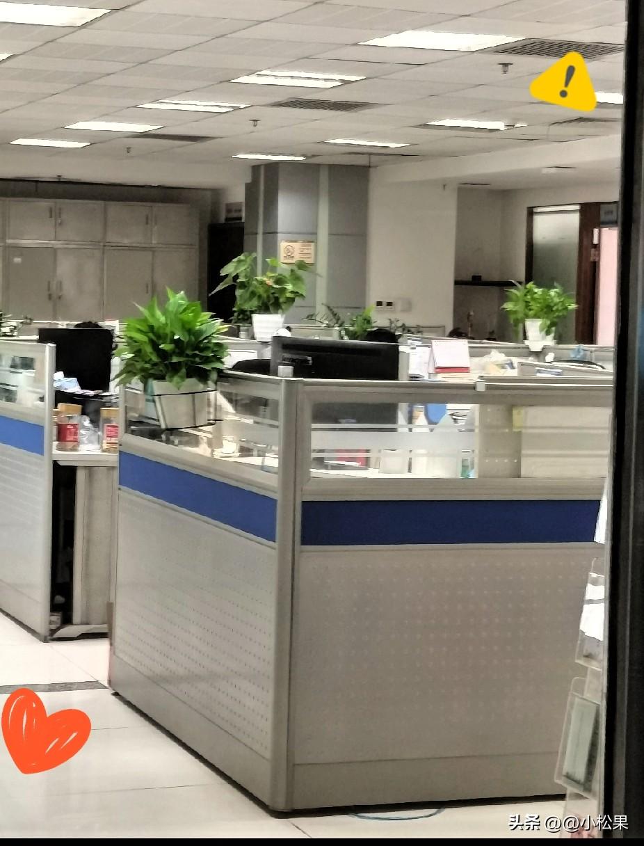 不知道你们有没有发现，在单位里老老实实干活、不耍心眼、不拍马屁、不站队甩锅，只想