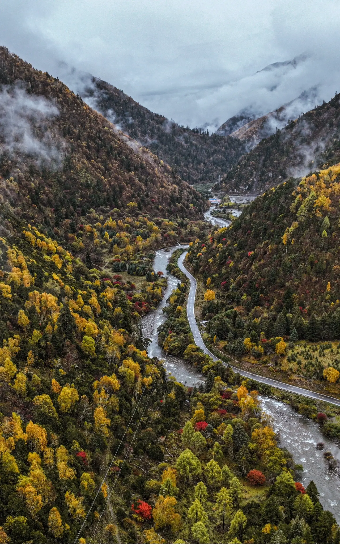 树树皆秋色，山山唯落晖