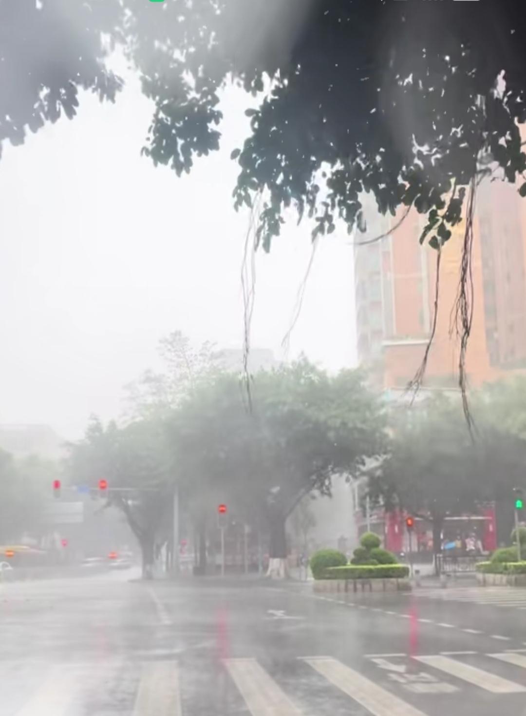 如果你亲眼见过我上班时的状态，就会明白我从来都不算矫情。
嘴上吐槽着工作，背地里
