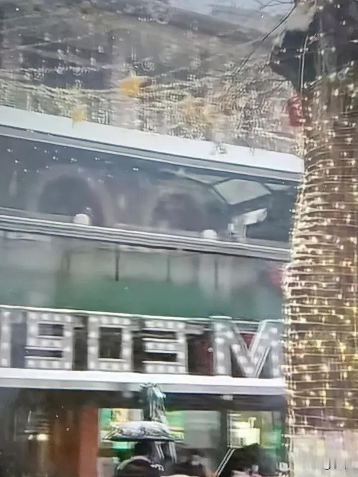 景几分，色几寸，
小荣骑车出山村。

云遮槐树岭，
雪压枝头低。

山野冷落村中