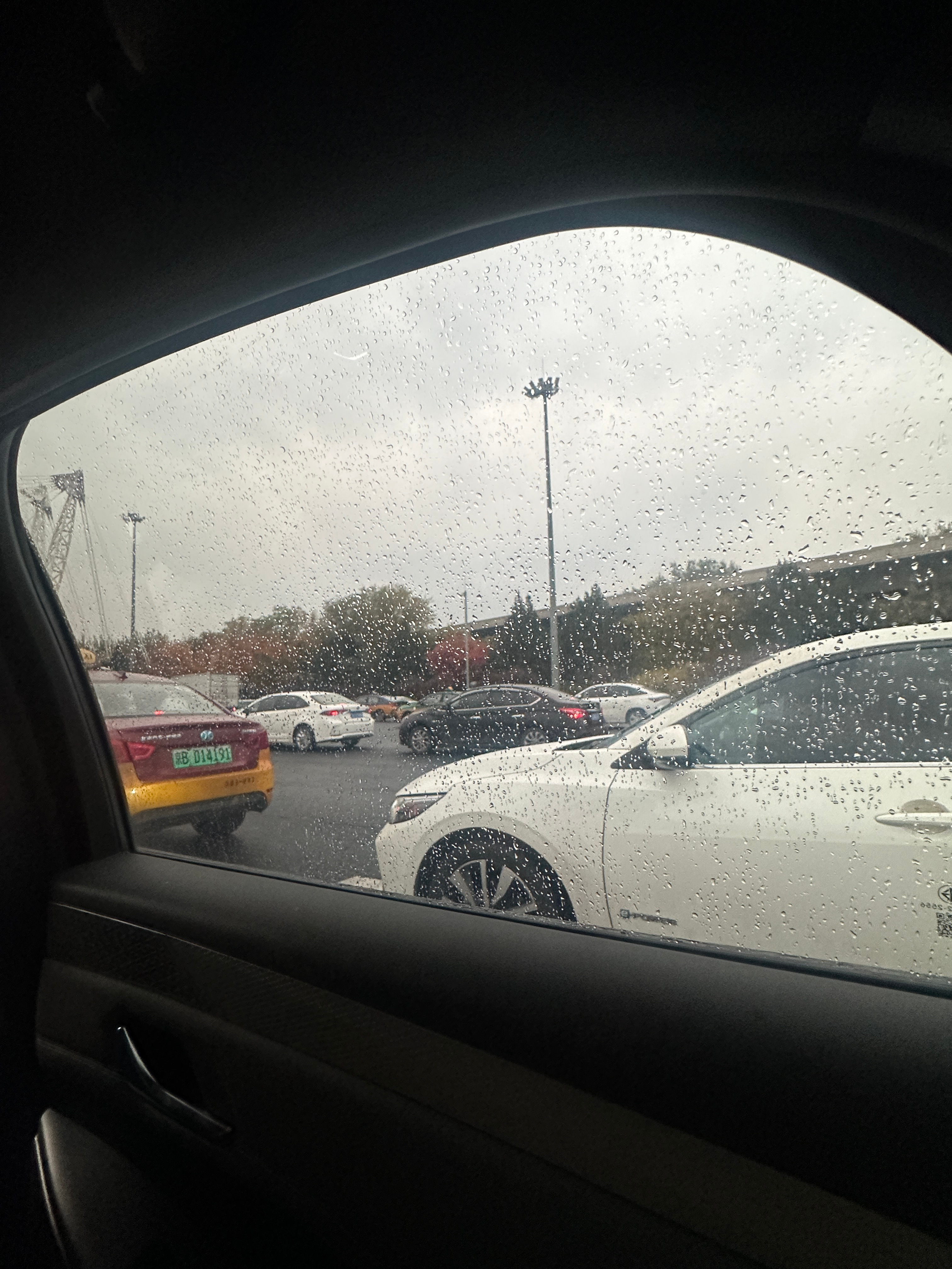 生活手记北京又下起了淅淅沥沥的小雨🌧️  ​​​