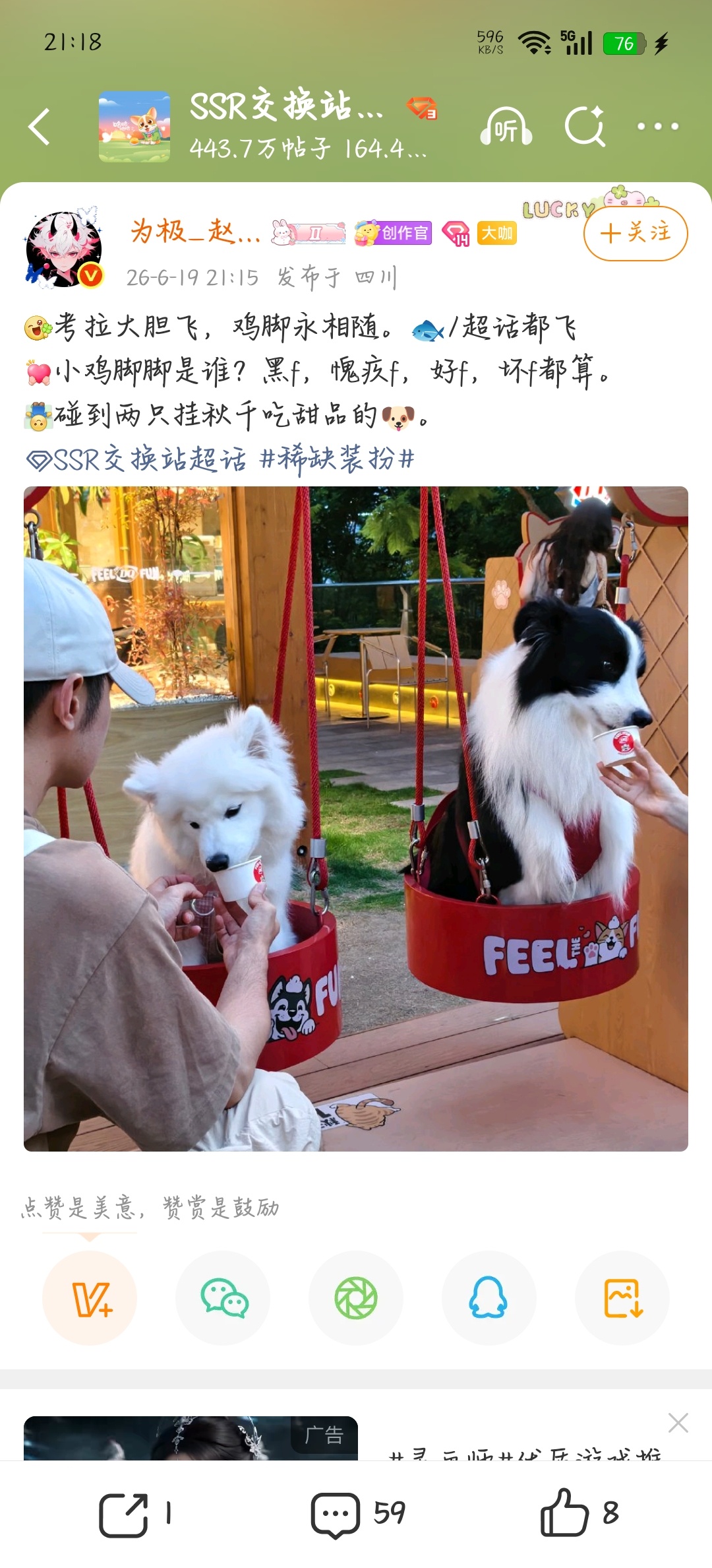 他脑子没病吧 