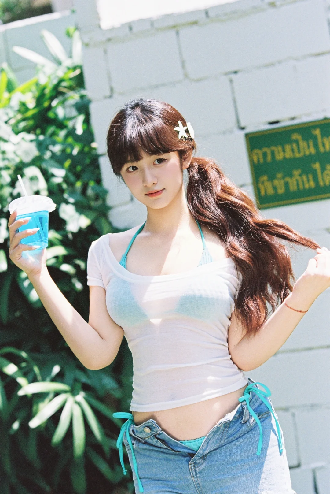 盛夏与蝉鸣