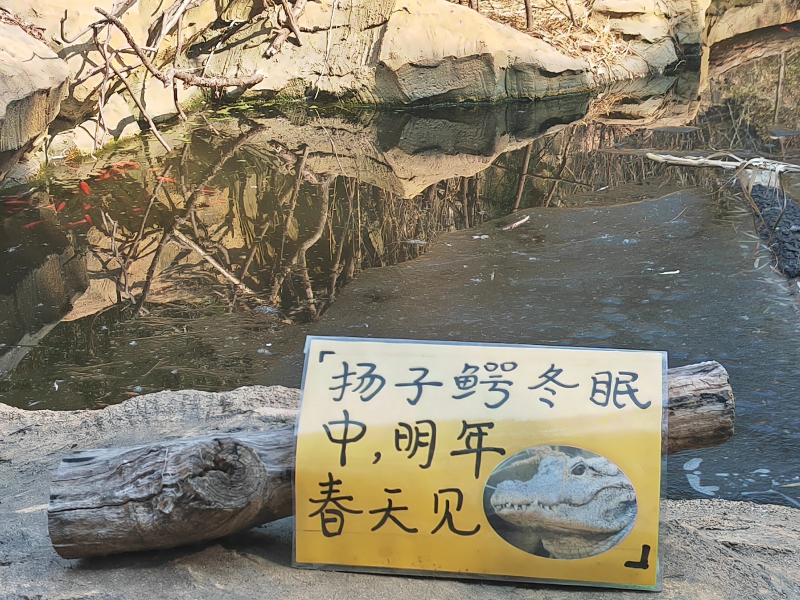 “动物有不被看到的权利”“红山不是看动物的地方，而是学会如何看待动物的地方”好喜