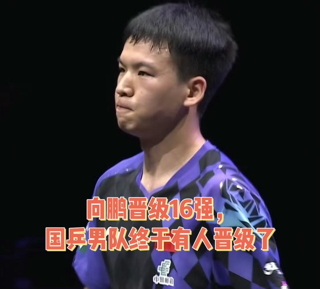 向鹏3:1希多仁科，
晋级横滨冠军赛16强！

横滨冠军赛第三天，国乒男队终于有