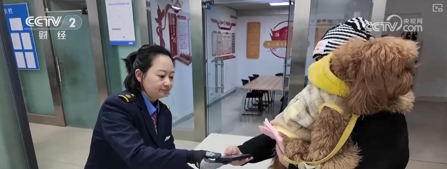 让宠物“单飞”涵盖哪些车站和线路？接取送达有什么要求？一文了