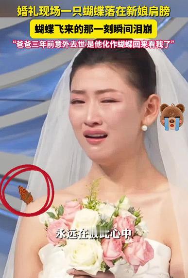 科学解释不了！结婚现场，一只蝴蝶突然落在新娘的肩膀上，让她瞬间泪如雨下：“我爸爸