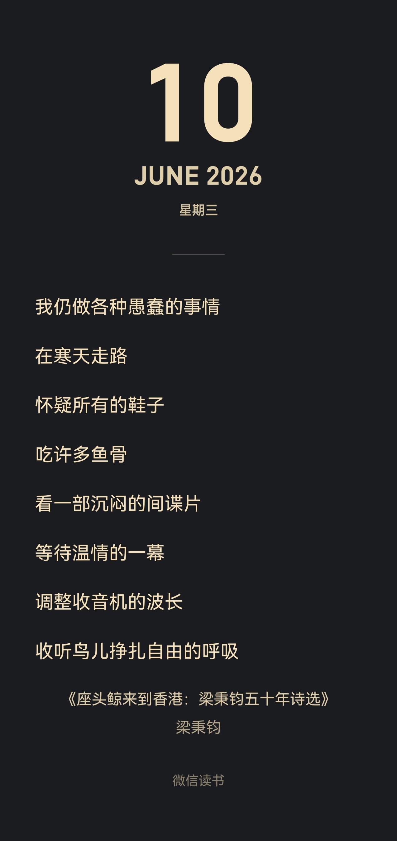 某种更好也更私人的叙事，我们也曾试着这样记录过生命中的段落。 