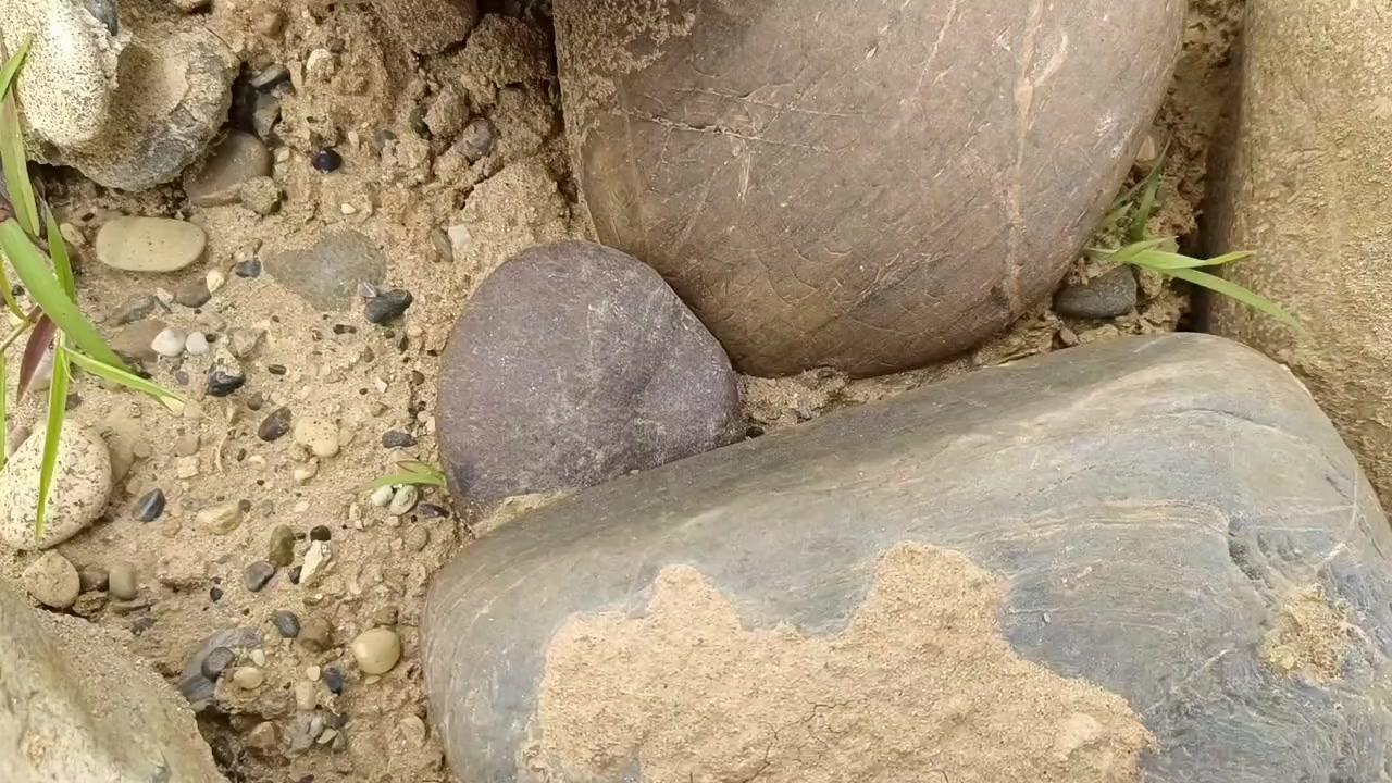 1️⃣挖石惊喜：今天又挖到宝了！拨开表层泥土，里面露出的坑洼感很特别，外壳氧化但