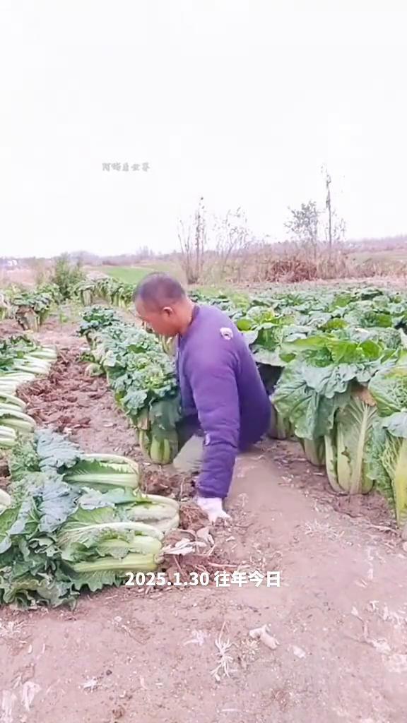 全网最坚强的男人，靠双手撑起了一个家。
视频中这位没有双腿的男子被誉为全网最坚强