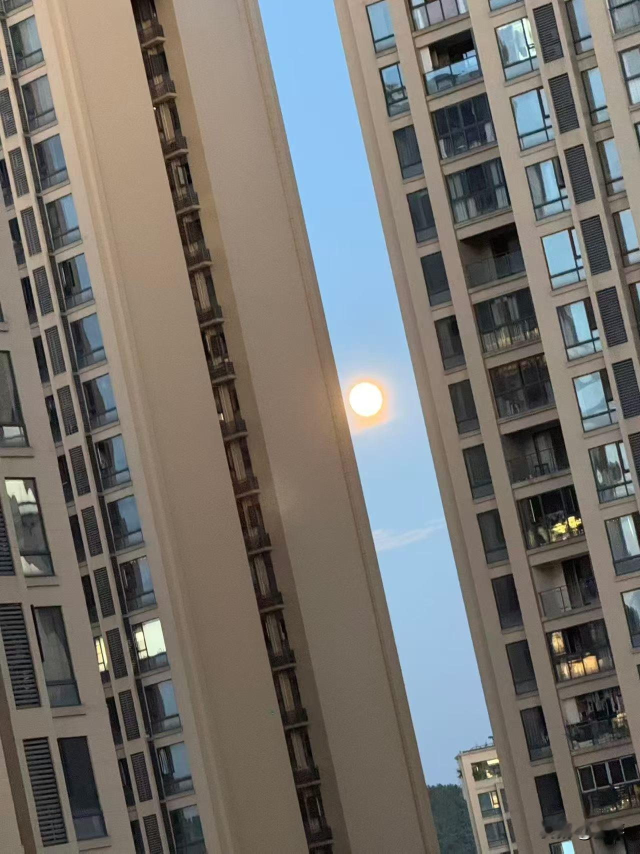以前见过金色的太阳，第一次拍到金色的月亮，太意外了，这月亮难道也是跟太阳学着抢绩