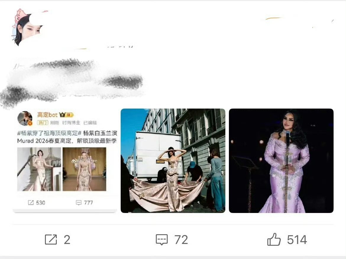 第二个是秀场模特，第三个根本就不是同一件，老粑子就这样pf到胡言乱语了～～～ ​