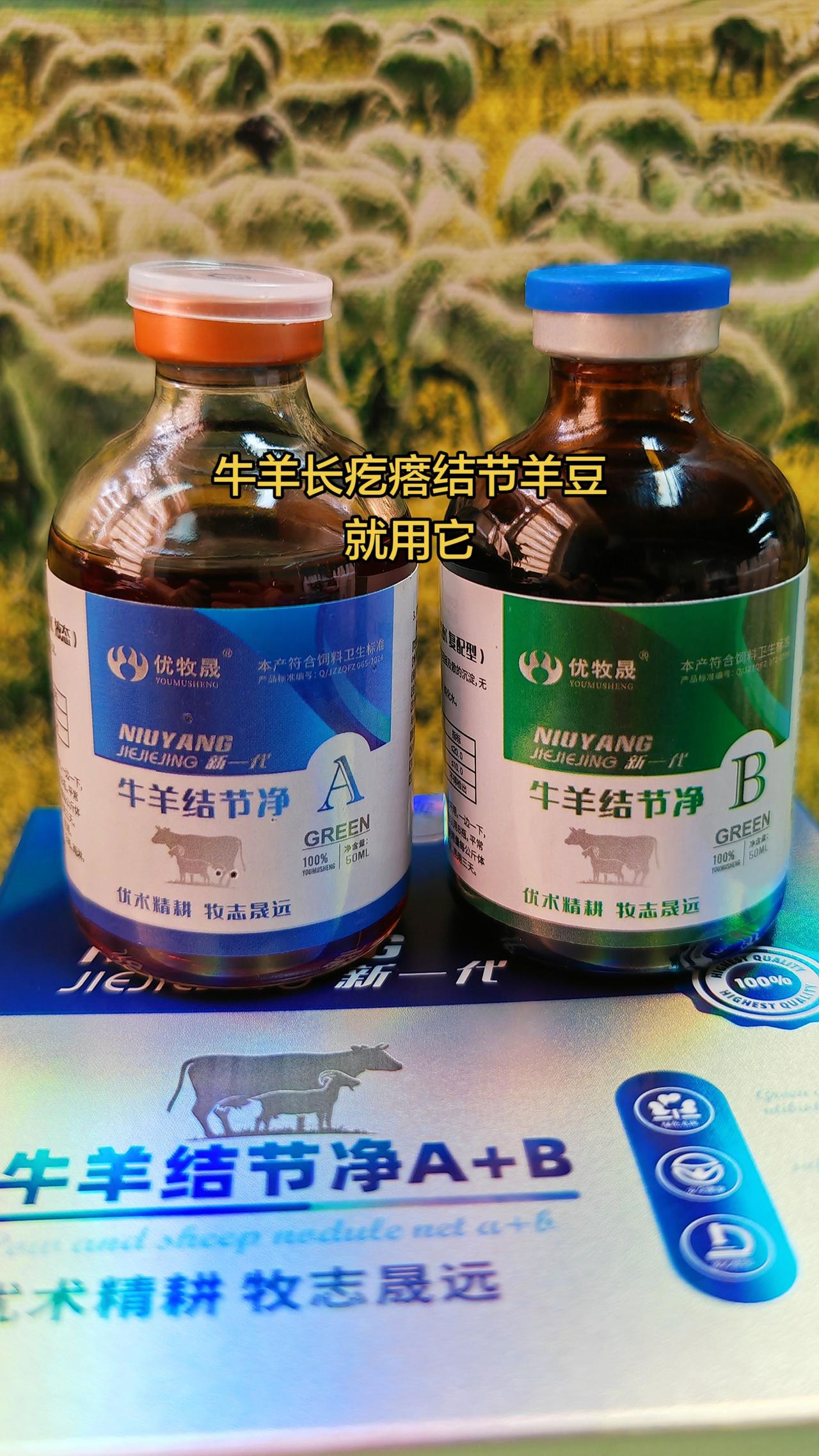 养羊人 农村养牛 牛羊结节病 牛羊结节 羊豆
