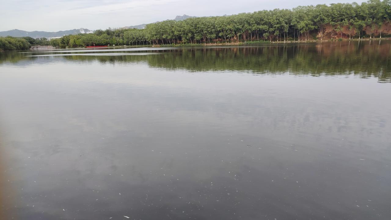 分享一下你随手拍下的照片下图片是涉县龙湖公园一角