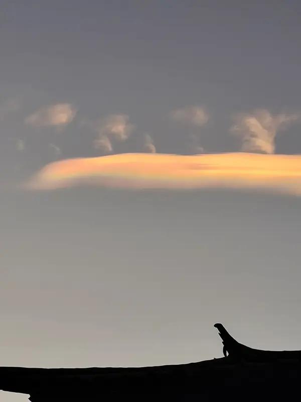 如果有来世，我大概率还会选择当兵。就像那位功勋老兵柳进尊，在守岛岗位上奉献一生，