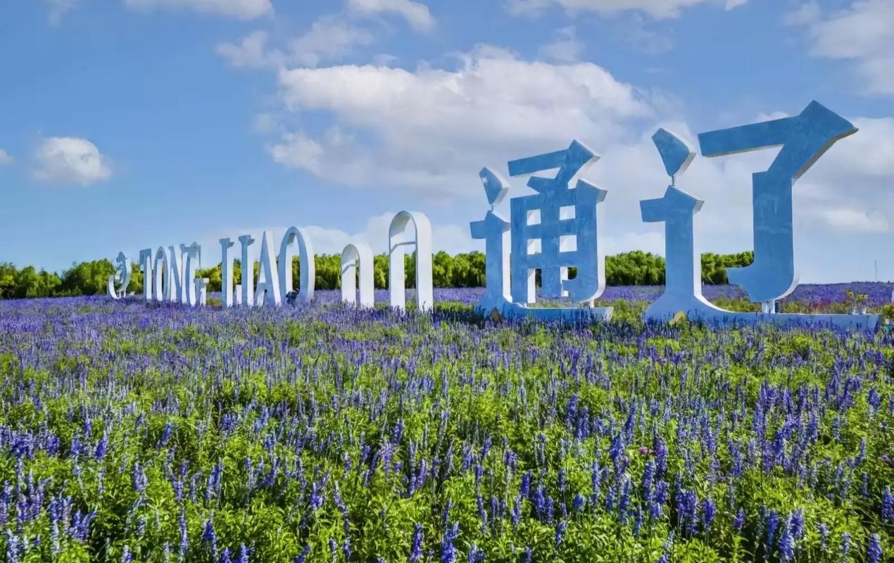 通辽2025年财政增长优异！

2025年通辽全市地方财政收入完成125.7亿元