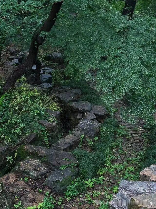 我认为文科，文章为民而写，而画，而歌，而唱，文科开启智慧。