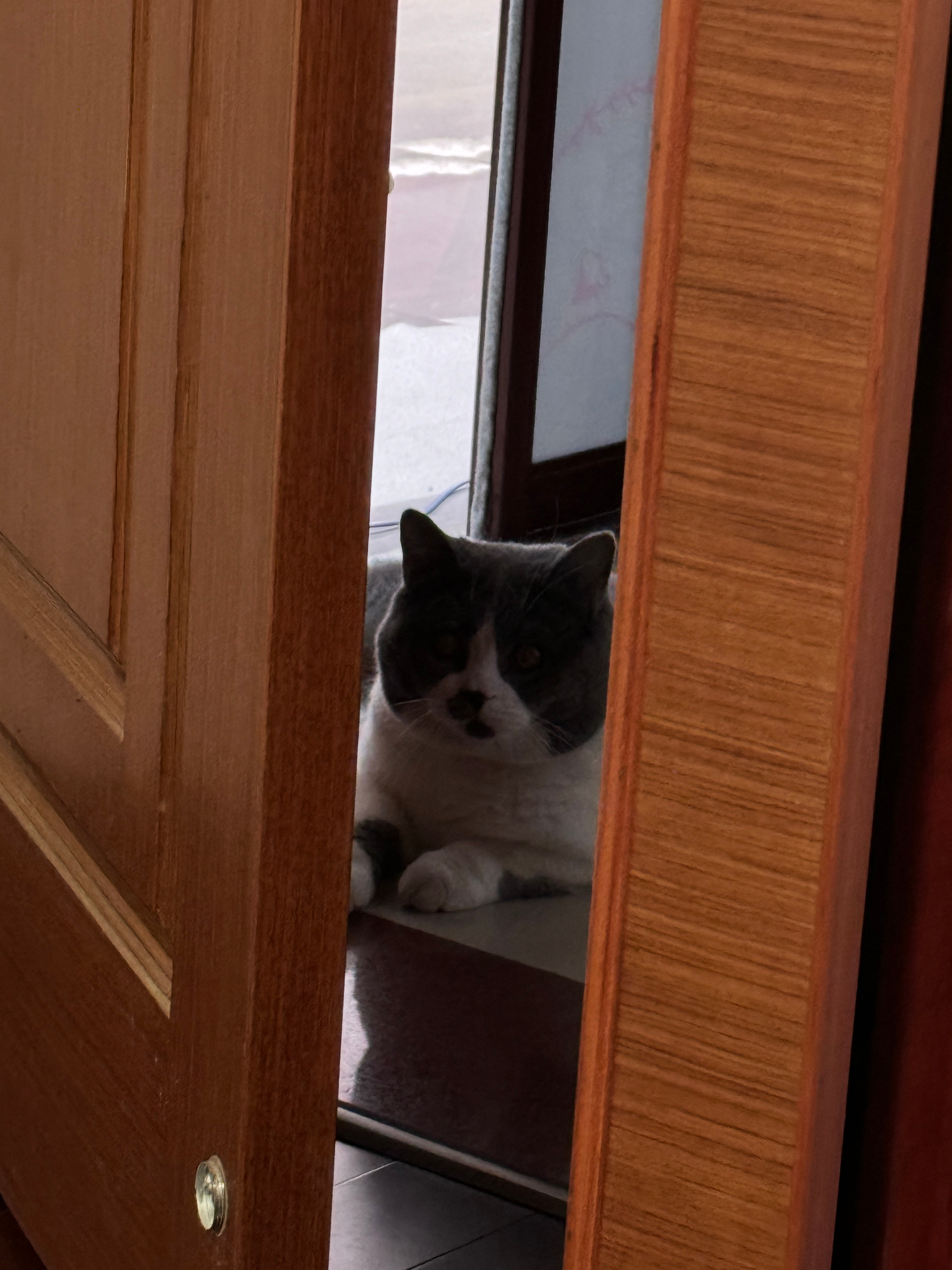 今天想想不能和我睡觉了，委屈屈