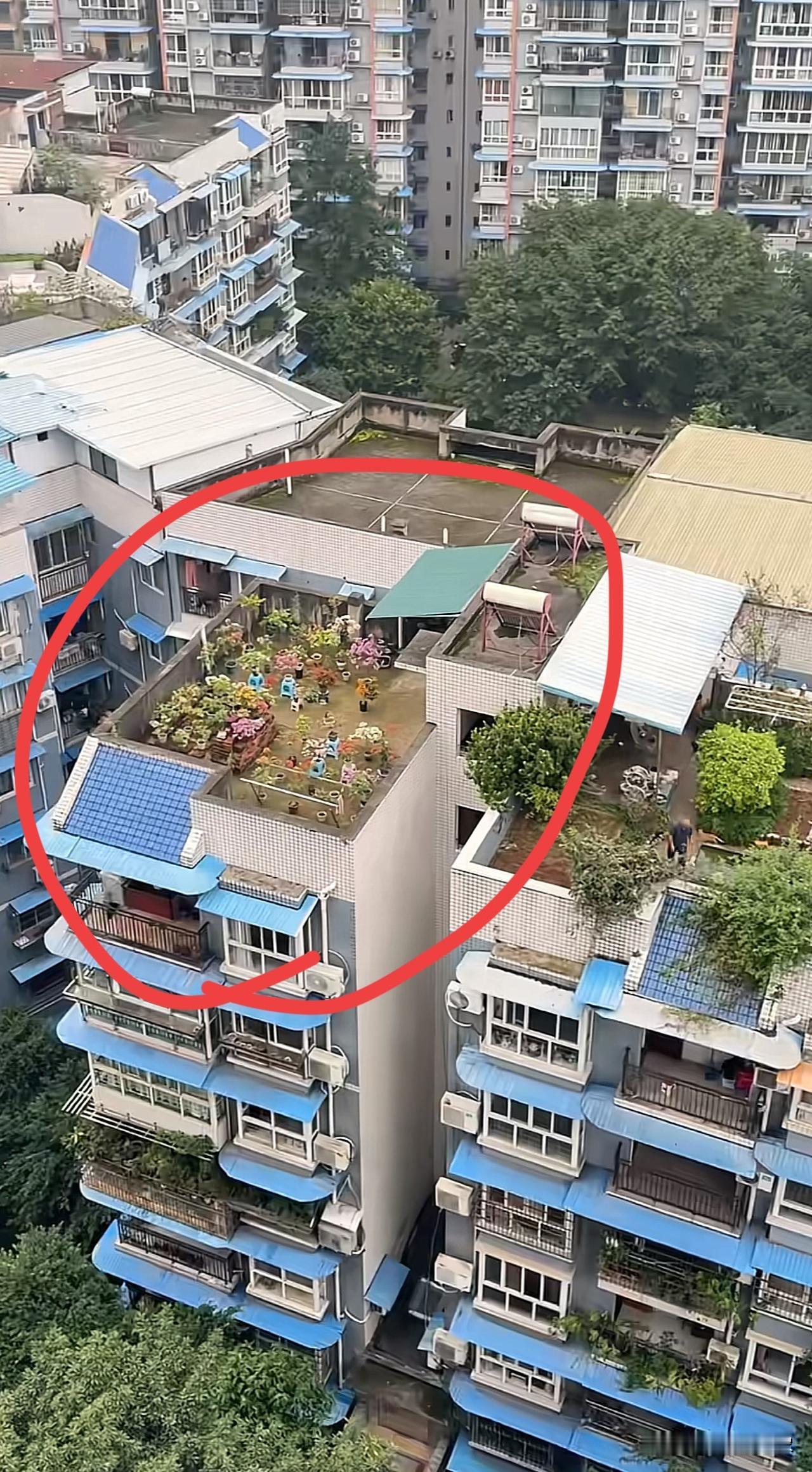 楼顶的小院