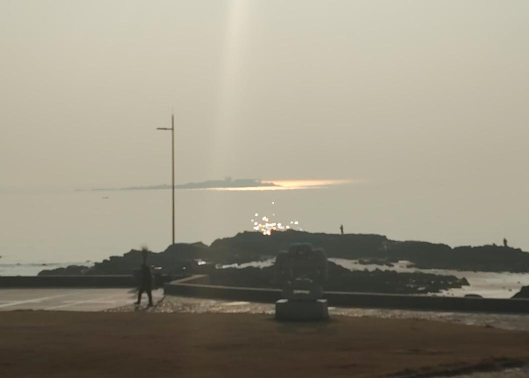 元旦假后第一天，开启金光灿灿的新一年。