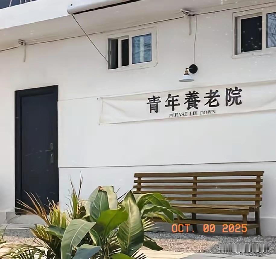 养老院年轻化，院长新的盈利模式。27岁女孩住养老院：
 
10月伊始，浙江一位网