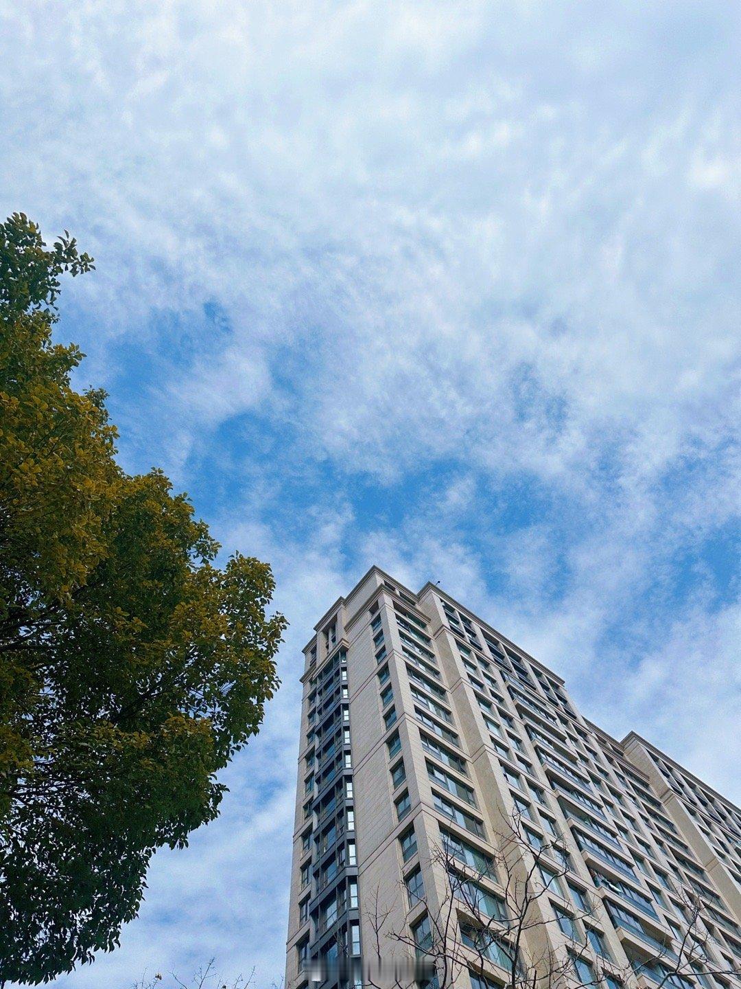 苏小柳点心，本帮江浙菜，虽然是连锁店但挺好吃，也是必吃榜餐厅。和杭州小伙伴来吃工