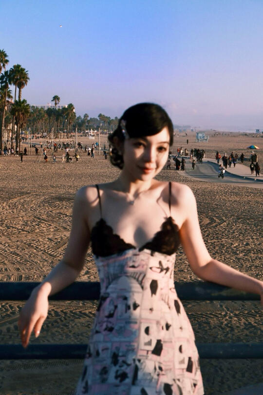 Santa Monica Sunset🎡