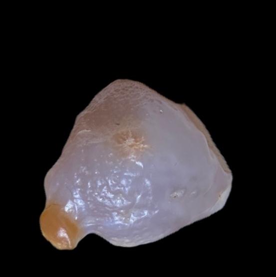 3.6✕3.5✕2.6cm,银根套色玛瑙。