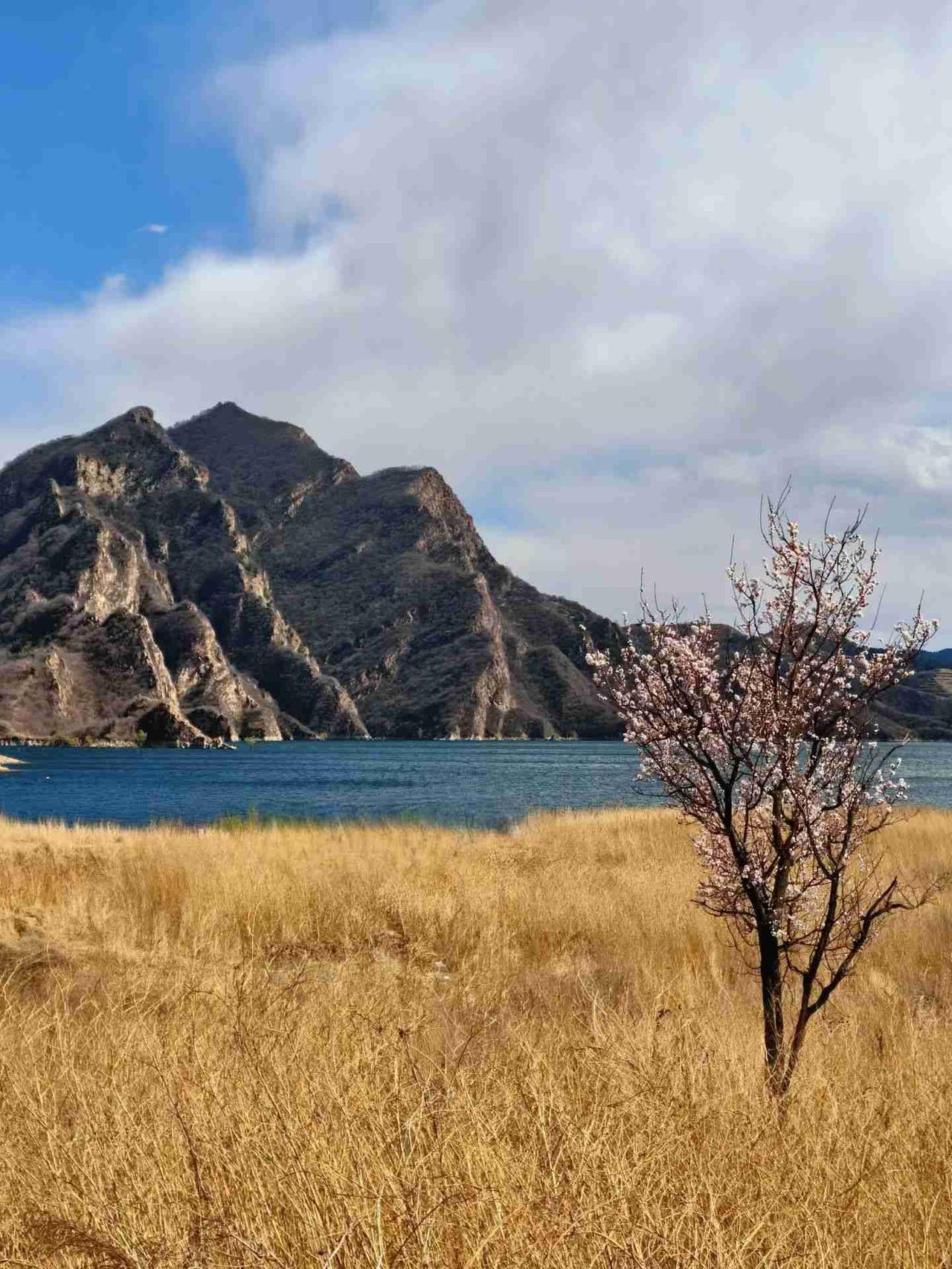 我的今日状态：💰期待暴富
我这里的天气：🌤️多云