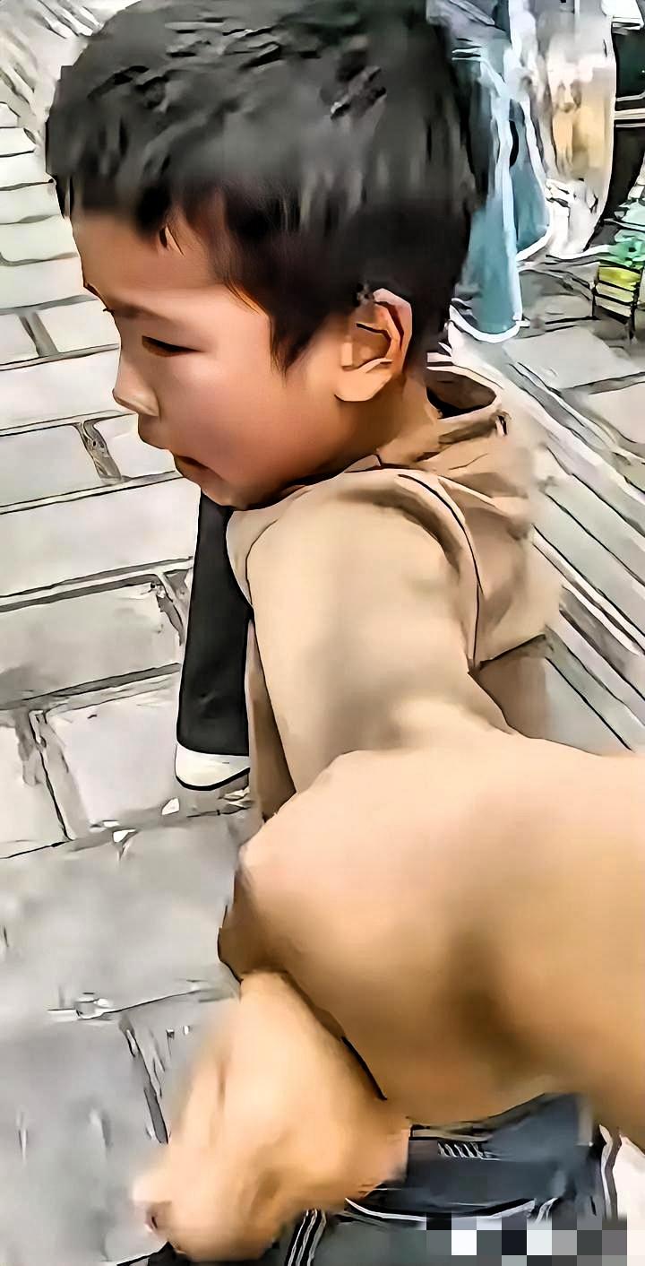 泪目！儿子在街上偶遇离婚一年的妈妈，哭着上前抱住妈妈说：我好想你
 
街头这一幕