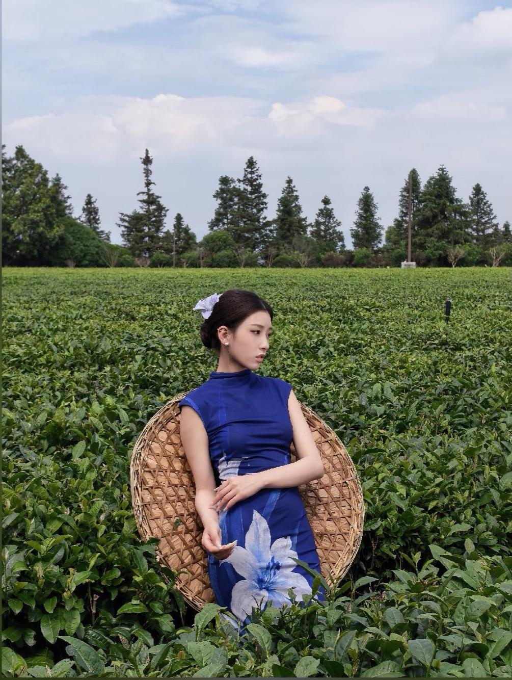 这一组拍的不错，现实中的采茶女可能没有这么漂亮，但茶园实打实的一样谁有乡村老家的