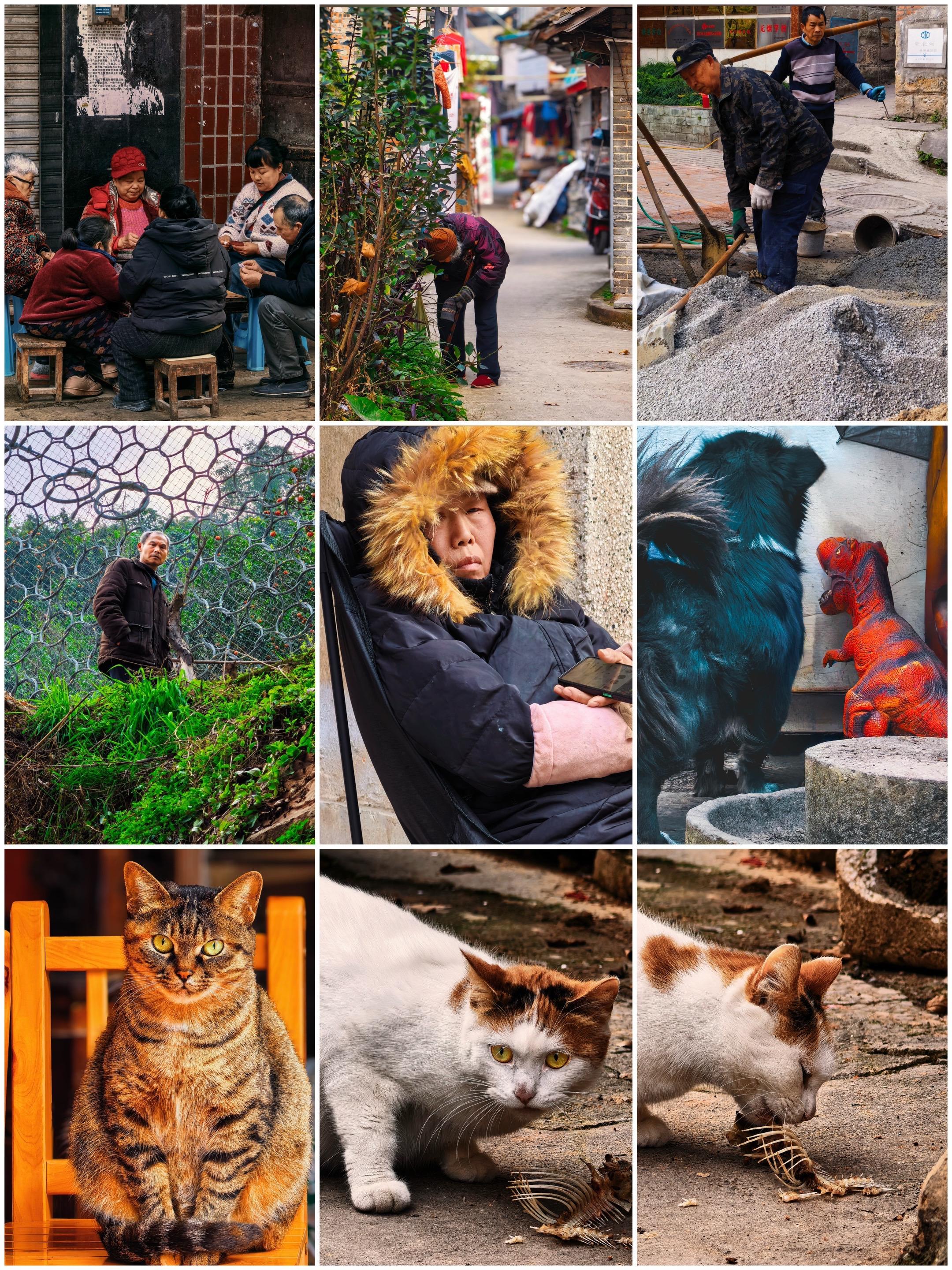 冬日暖阳里， 揣着手机扎进老街， 凑齐一桌人间烟火， 是围坐唠嗑的热乎...