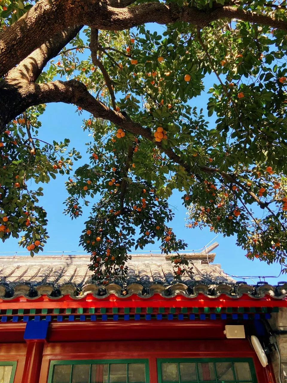 “人缘好和人品好是两回事。你信不信，人缘很好的人多半是小人。”这话乍一听有些极端