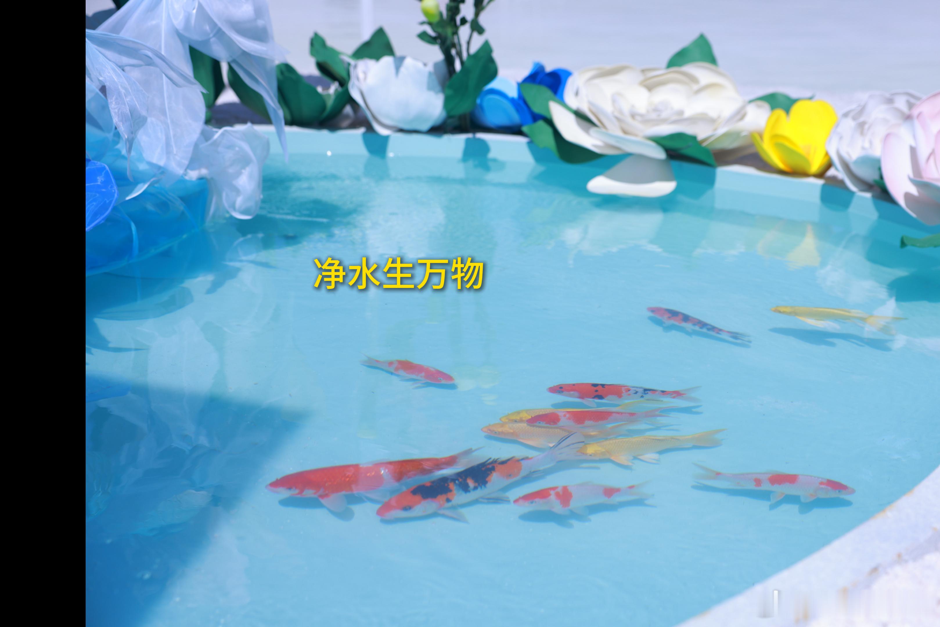上班暂停去茶卡盐湖摸鱼 谁懂这种把一片土地的浪漫玩到极致的感觉！当镜面艺术装置「