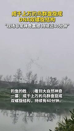 解释不清了，近日四川邛崃，男子正在河边钓鱼，偶然间抬头一看竟被眼前的场景深深震撼