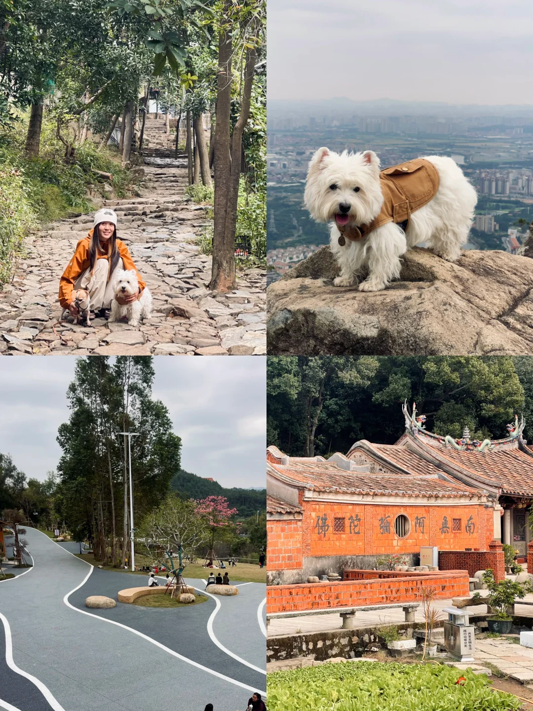 紫帽山 宠物友好只有40% 微避雷