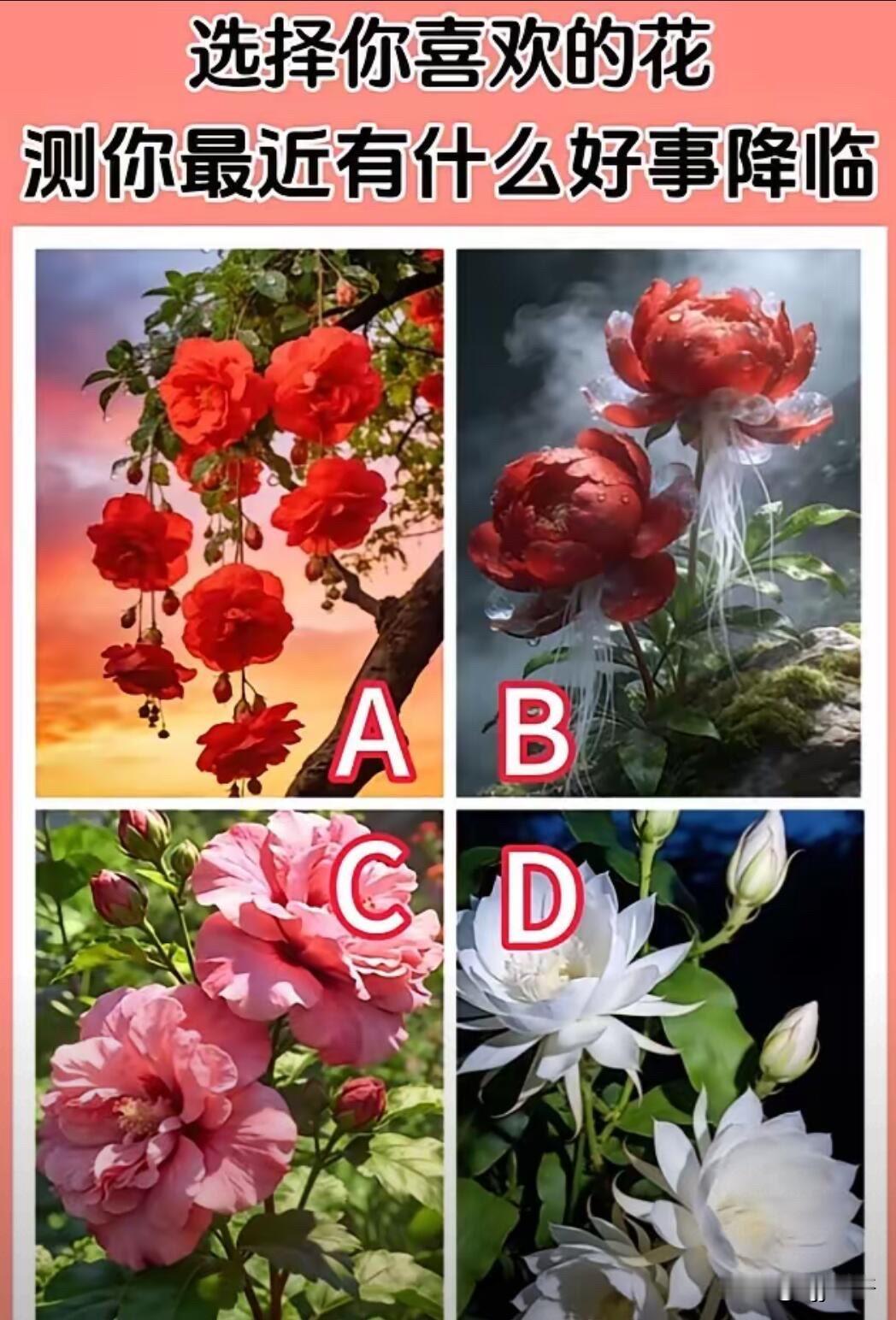 测你最近有什么好事降临