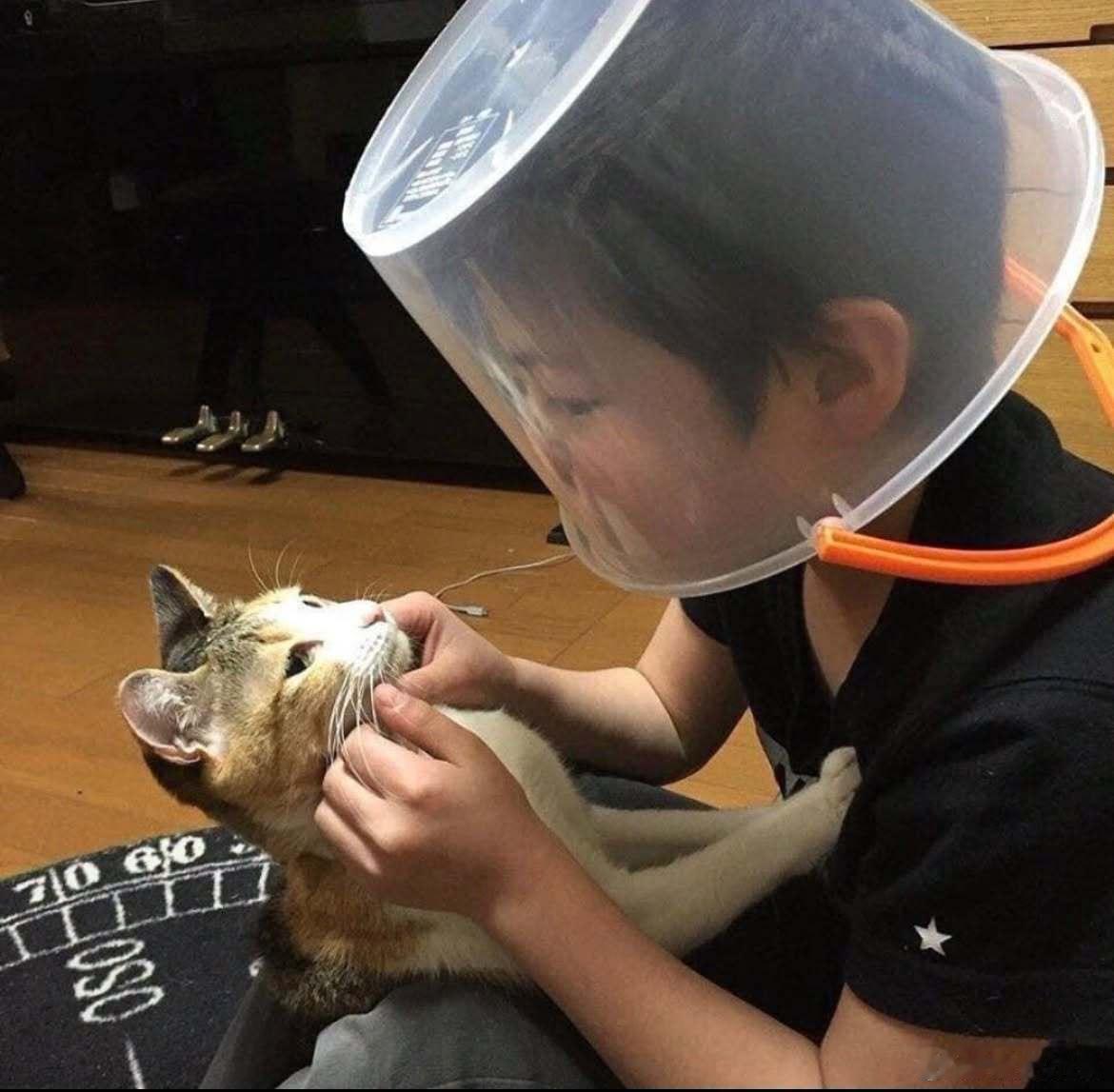 脸被猫抓伤了之后……小猫的眼睛透着绝望感[喵喵] ​​​