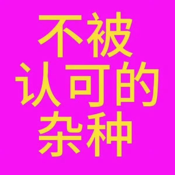 朱苏棍铲