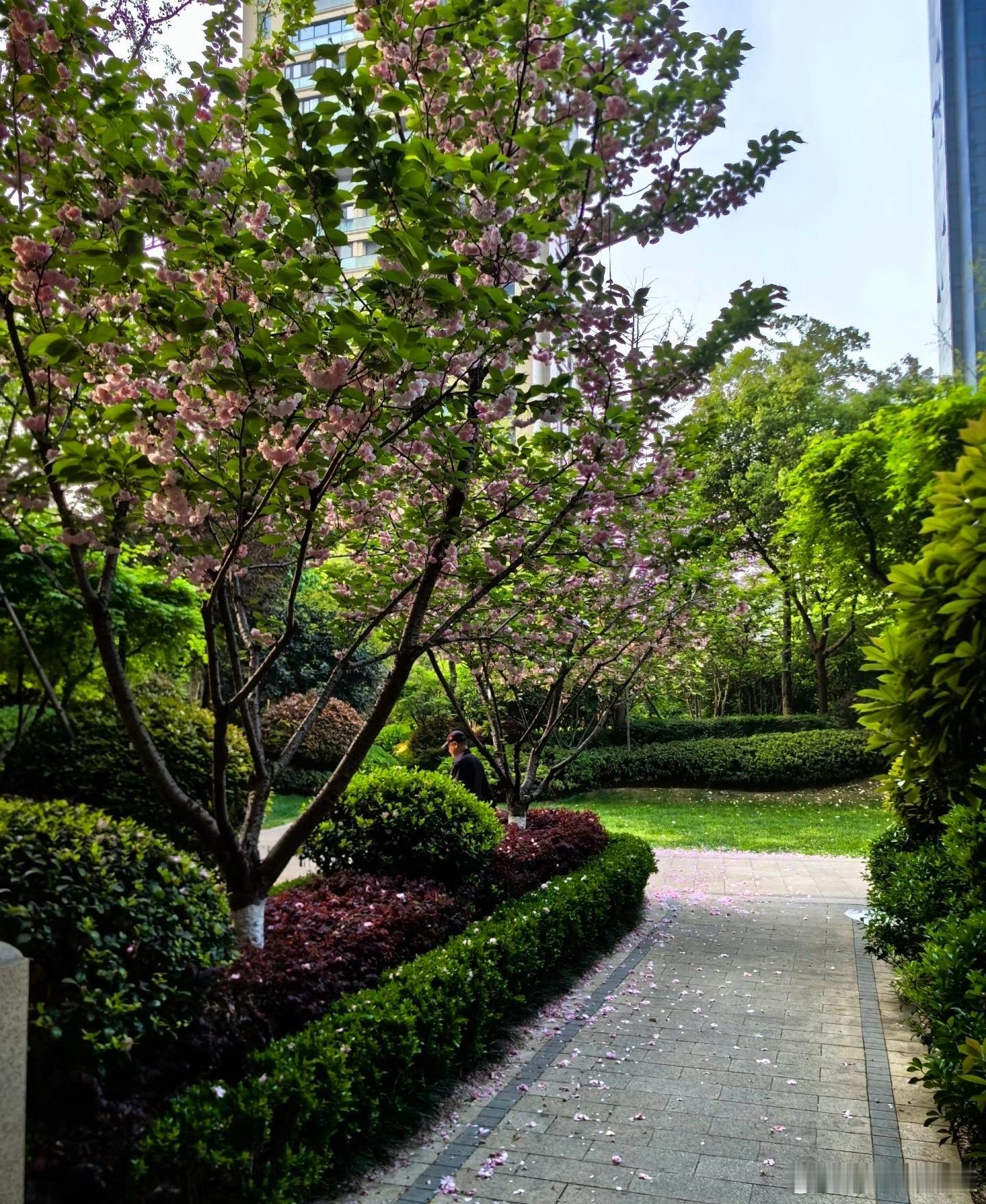 白酒退市第一股【突发】第一家退市白酒股，来了！🍺4月29日晚，ST岩石刚交完2