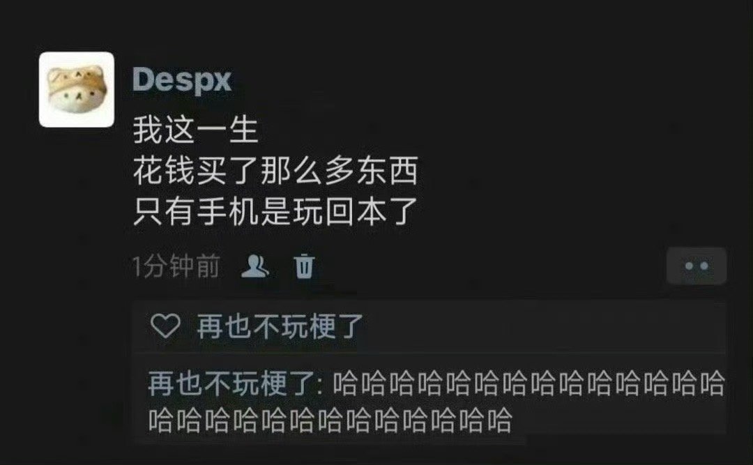 《只有手机是玩回本了》 ​​​
