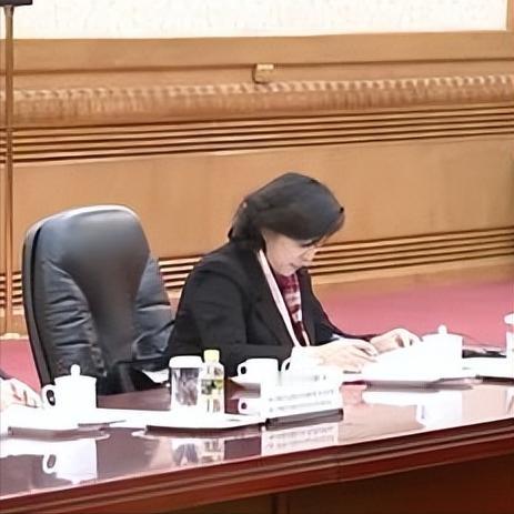 美女外交官在中法双边外事活动中的风采
 
12月4日，在中法双边外事活动中，我们