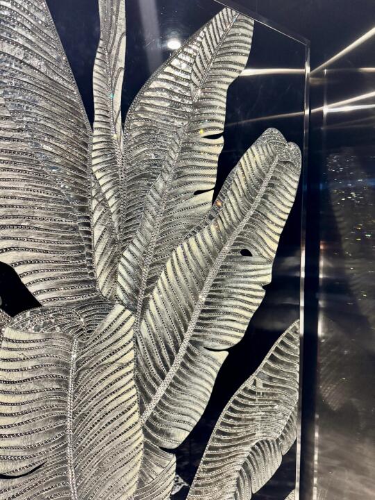 傍晚的家是一个巨大的能量场