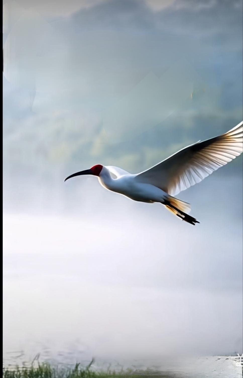 这种爽感来自三个层面的解放：

2. 决策效率翻倍：不再反复纠结“我这样说会不会